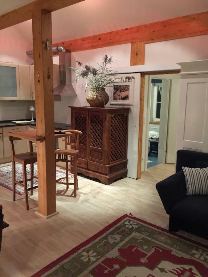 Ku:L Apartment 4Pers. Planai Dachstein Oblarn Экстерьер фото
